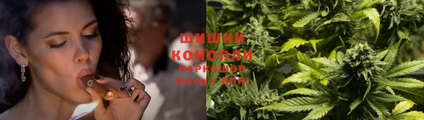 винт Козловка