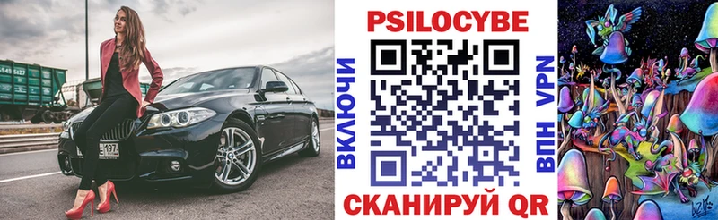 Псилоцибиновые грибы Psilocybe  Купить  Белокуриха 